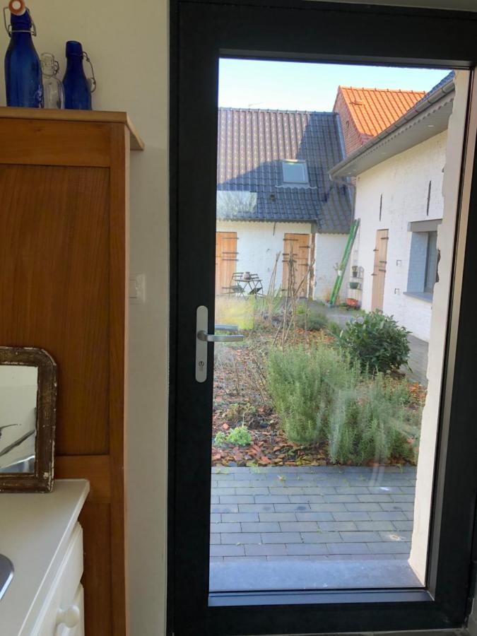 We Maison D'Hotes Cassel Exteriör bild