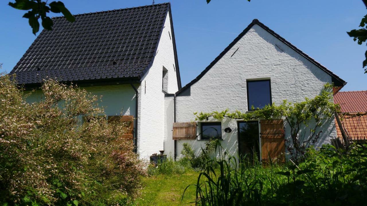 We Maison D'Hotes Cassel Exteriör bild