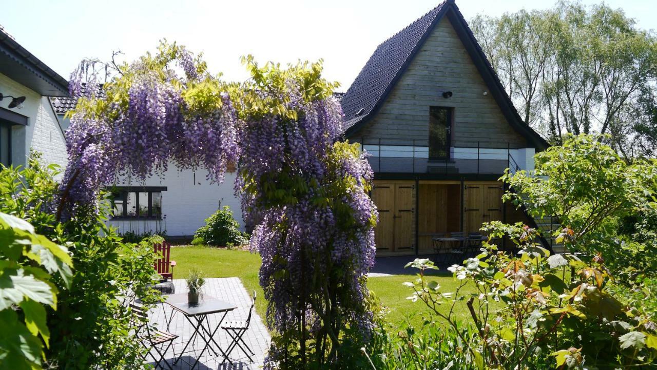 We Maison D'Hotes Cassel Exteriör bild